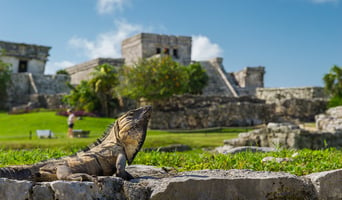 Tulum